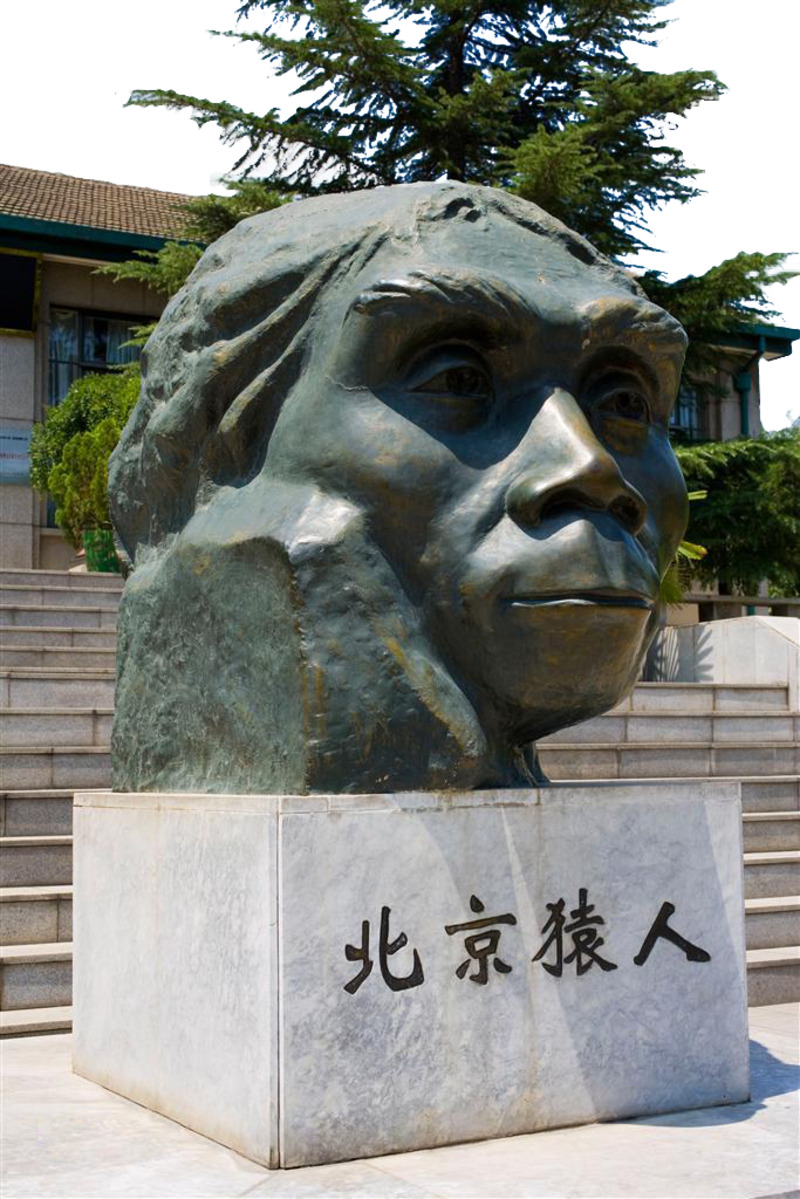 北京猿人头部雕像高清透明PNG图，抽象梦幻设计素材下载