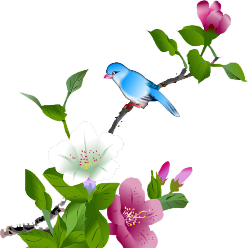 牡丹花瓣高清透明PNG漂浮元素设计素材下载