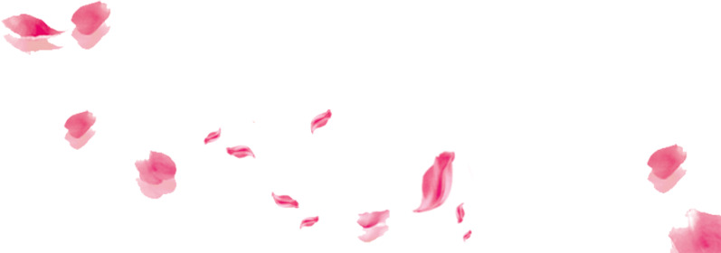 高清透明漂浮花瓣PNG图片，设计素材免费下载