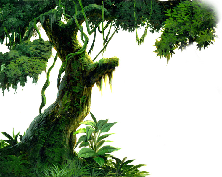 高清透明PNG古树植物装饰元素设计素材免费下载