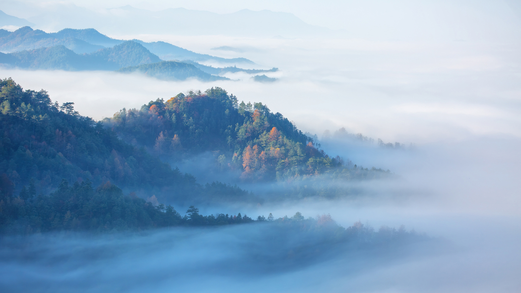 4K高清，森林雾霭中的唯美风景壁纸（3840x2160）下载