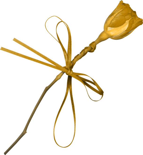 金色玫瑰高清透明PNG漂浮彩带设计素材免费下载