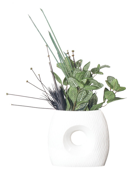 高清透明PNG花盆植物装饰素材，设计必备植物图片下载