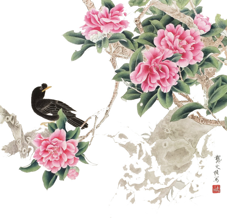 高清透明工笔花鸟画PNG，唯美植物设计素材下载