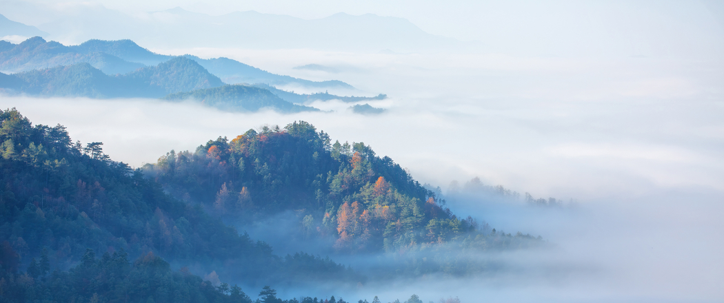 3440x1440带鱼屏高清下载，森林雾霭中的4K唯美风景壁纸