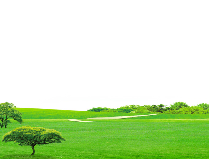 高清透明背景大草原与树木摄影风景设计素材PNG图片下载