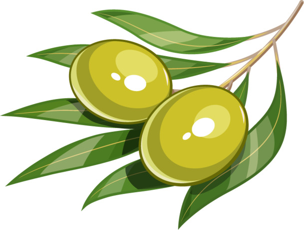 高清透明PNG矢量卡通蔬菜装饰素材，时尚植物设计元素下载