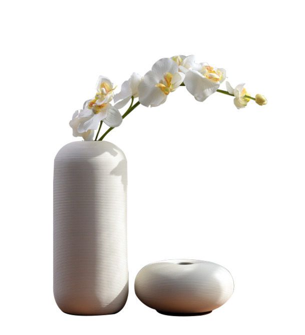 高清透明陶瓷插花PNG装饰素材，植物设计图片下载