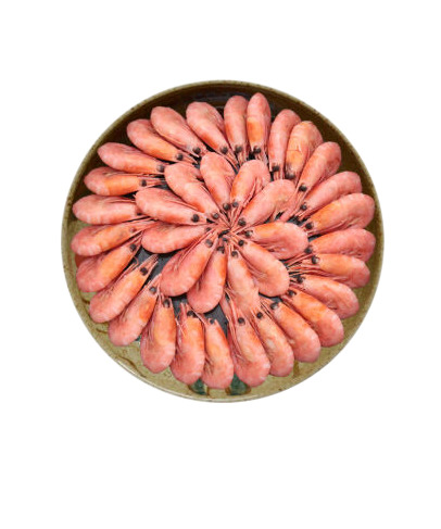 加拿大北极虾透明背景PNG高清图，动物装饰设计素材免费下载