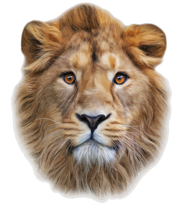 狮子高清透明PNG装饰元素，动物设计素材免费下载