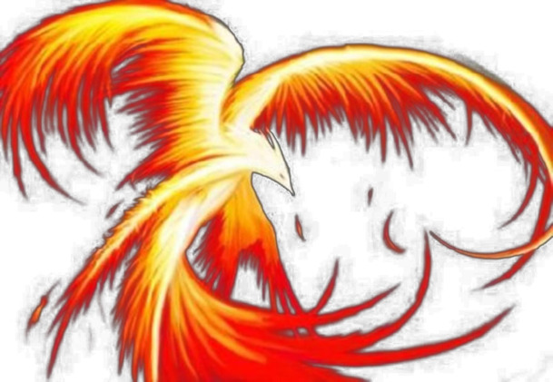 高清透明PNG素材，黄红色火焰凤凰动物装饰元素设计图下载