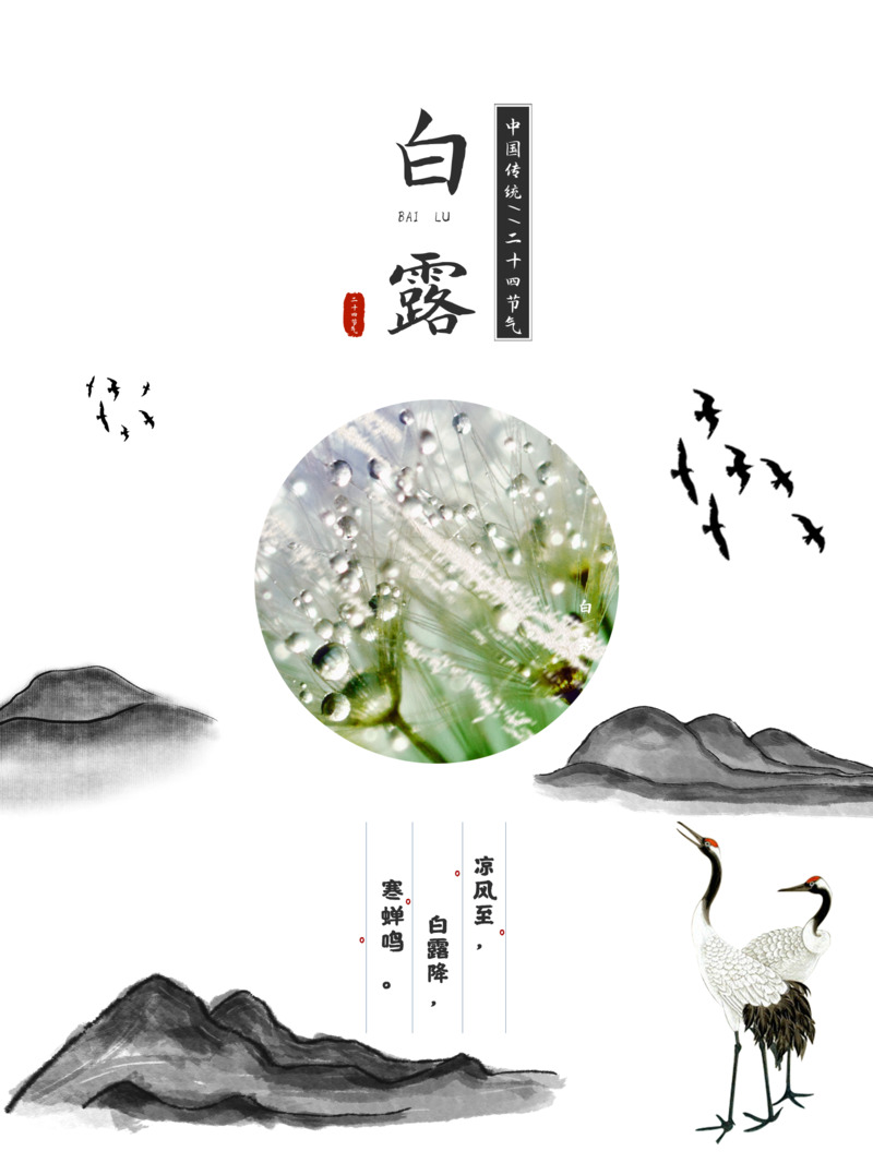白露时节高清水墨丹顶鹤山PNG透明图与手绘卡通PSD设计素材下载