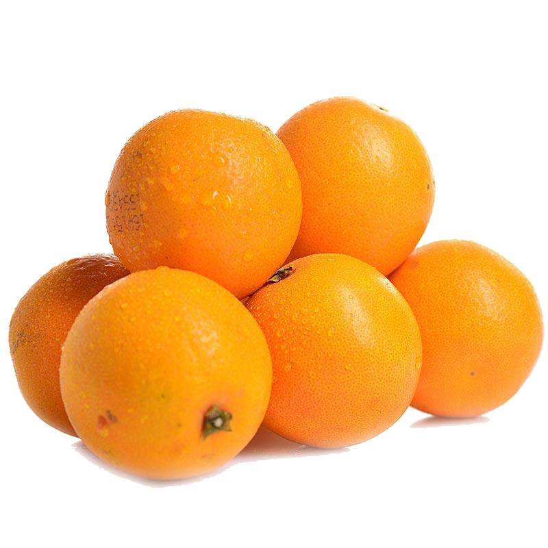 优质六个冰糖橙高清透明PNG动植物元素设计素材图片下载