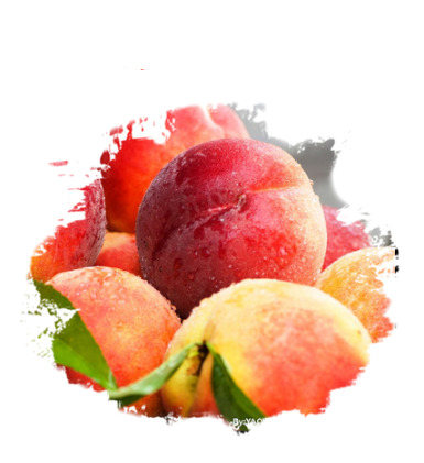 创意水墨风，高清透明PNG水蜜桃动植物设计素材下载