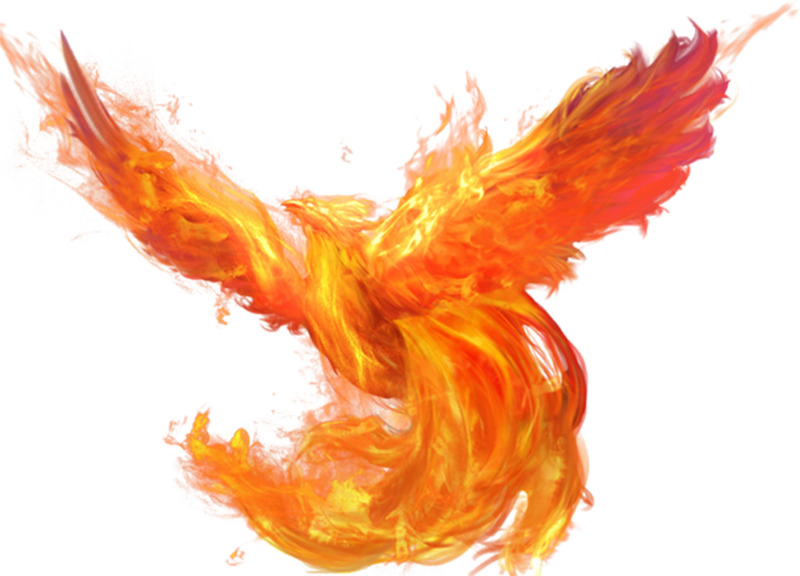 国风凤凰动植物元素高清透明PNG与PSD设计素材火爆下载