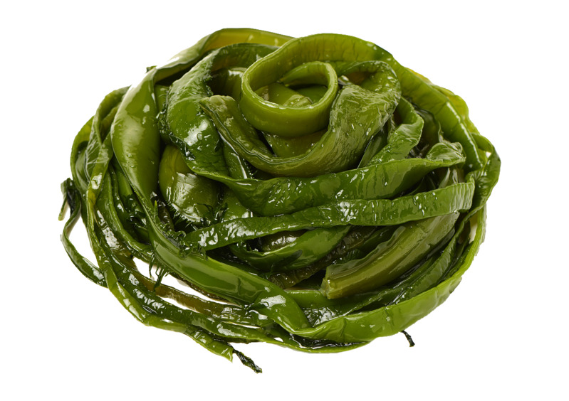 高清透明PNG与PSD格式，可口美味海带动植物设计素材下载