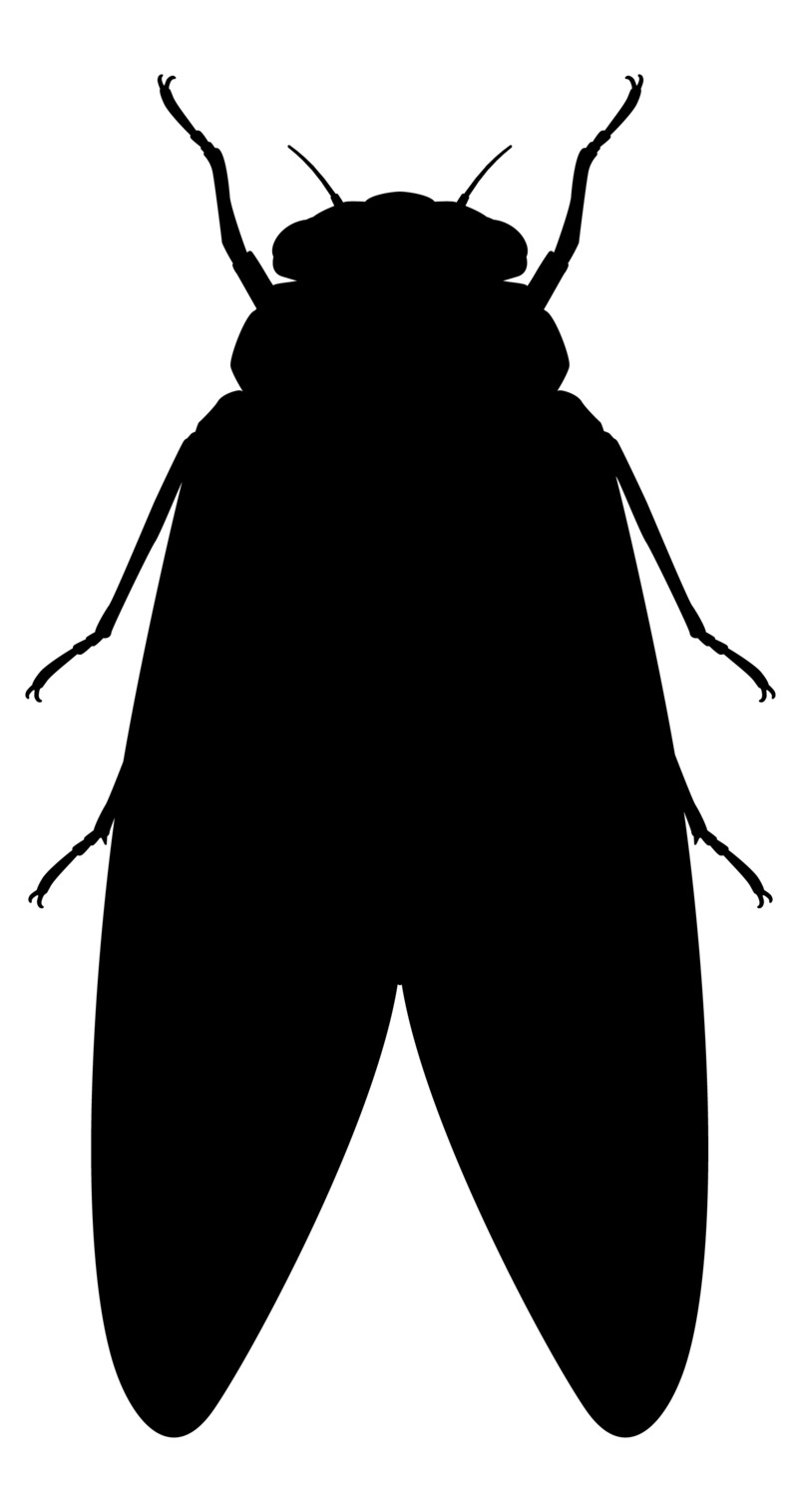 高清透明背景PNG格式蝉（知了）动植物设计素材图片下载