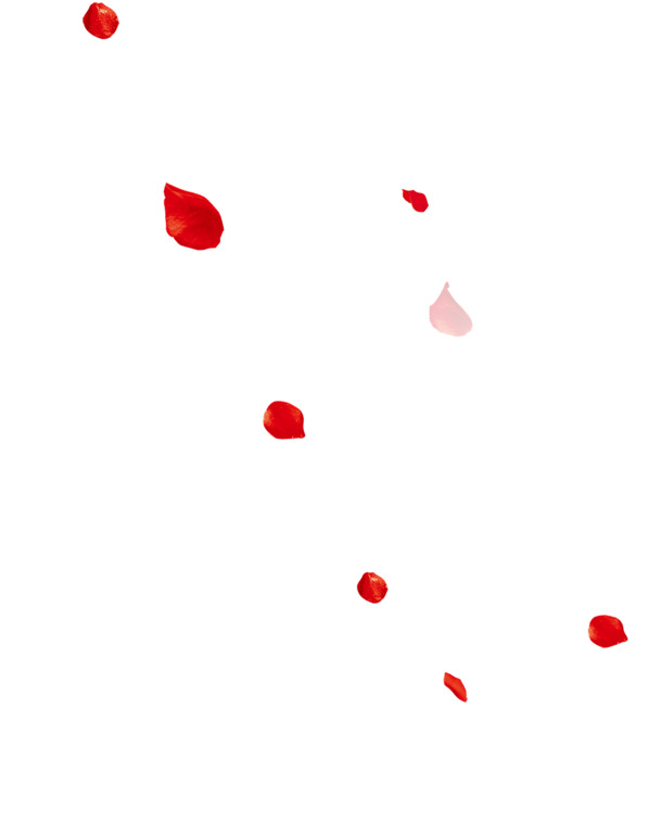 高清透明漂浮花瓣PNG设计素材图片下载