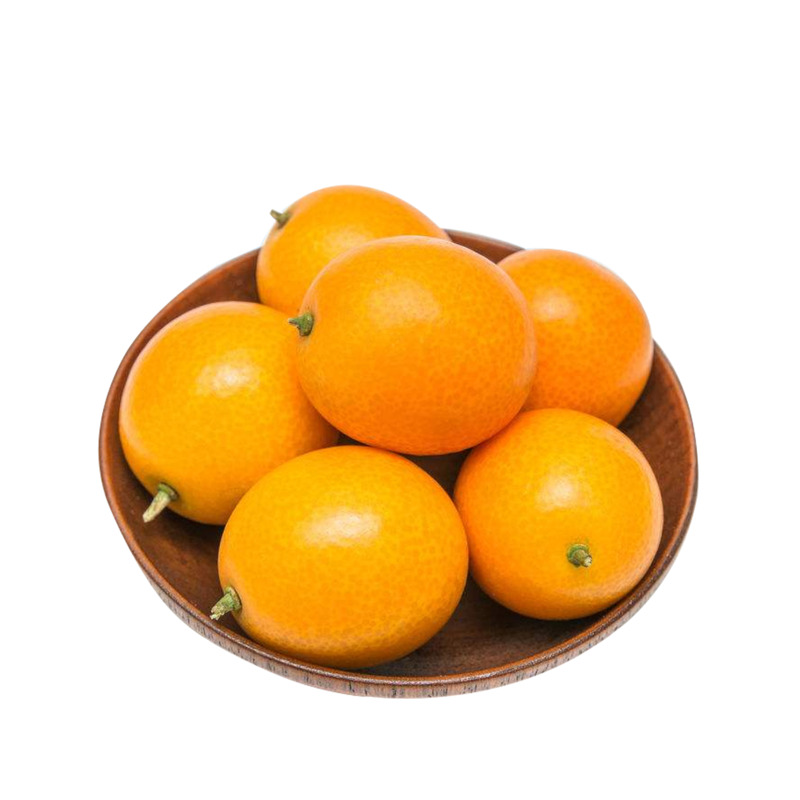 高清透明金黄色小金桔PNG装饰元素及生活用品PSD设计素材下载