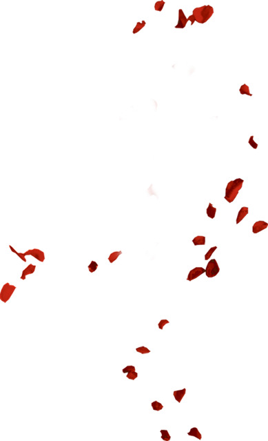 高清透明PNG飘散花瓣漂浮元素设计素材免费下载