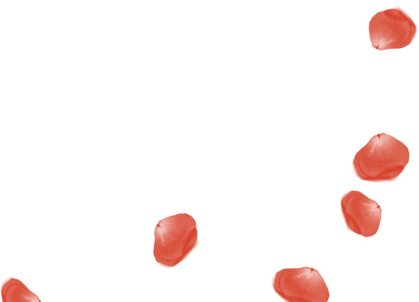 高清透明红色婚礼漂浮花瓣卡片PNG设计素材下载