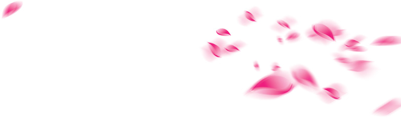 高清透明飘落花瓣PNG漂浮元素设计素材下载