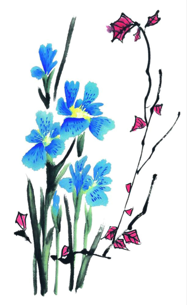 手绘花草高清透明PNG装饰元素与墨迹笔触设计素材免费下载