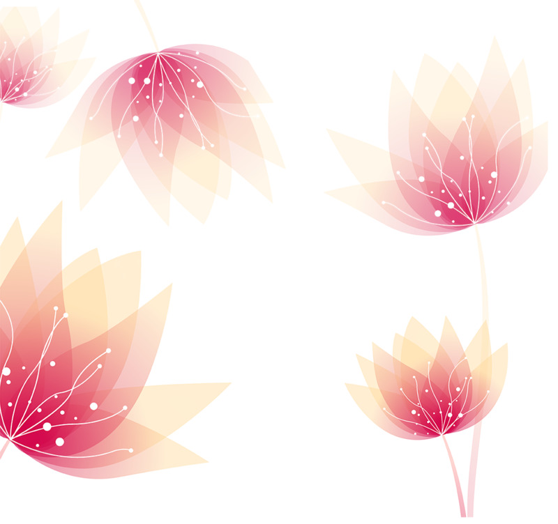 高清透明花朵漂浮元素与花瓣设计素材PNG图片下载