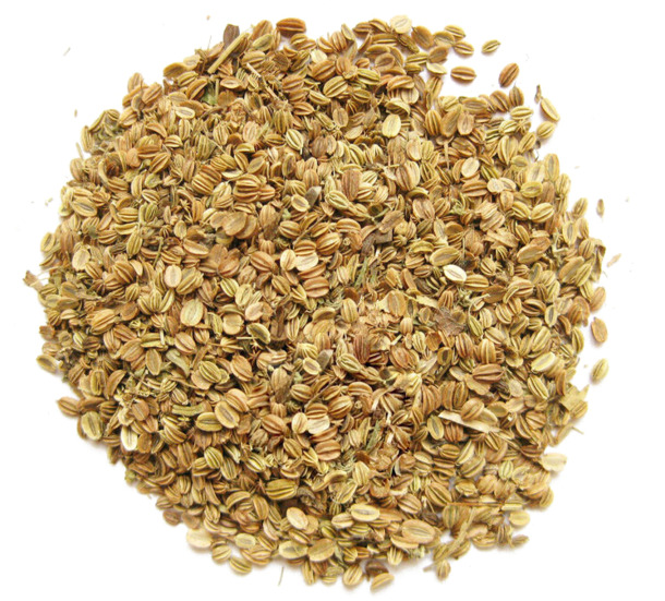 蛇床子高清透明PNG装饰元素植物设计素材免费下载