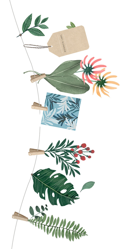 春天晾衣夹清新春天手绘鲜花