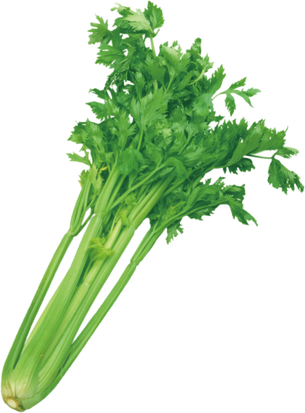 高清透明芹菜PNG装饰元素，植物设计素材免费下载