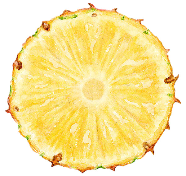 高清透明PNG菠萝切片免抠装饰素材，植物设计图片下载