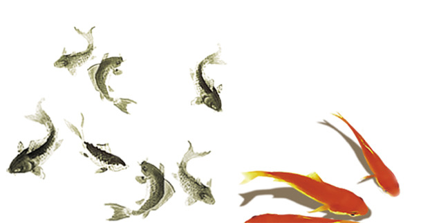 高清透明水墨鱼PNG装饰素材，动物设计图片下载