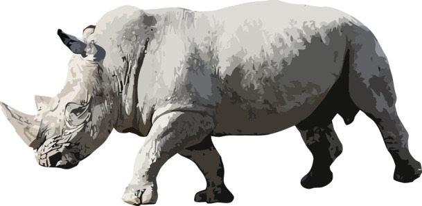 高清透明矢量犀牛PNG及AI格式动物装饰设计素材下载