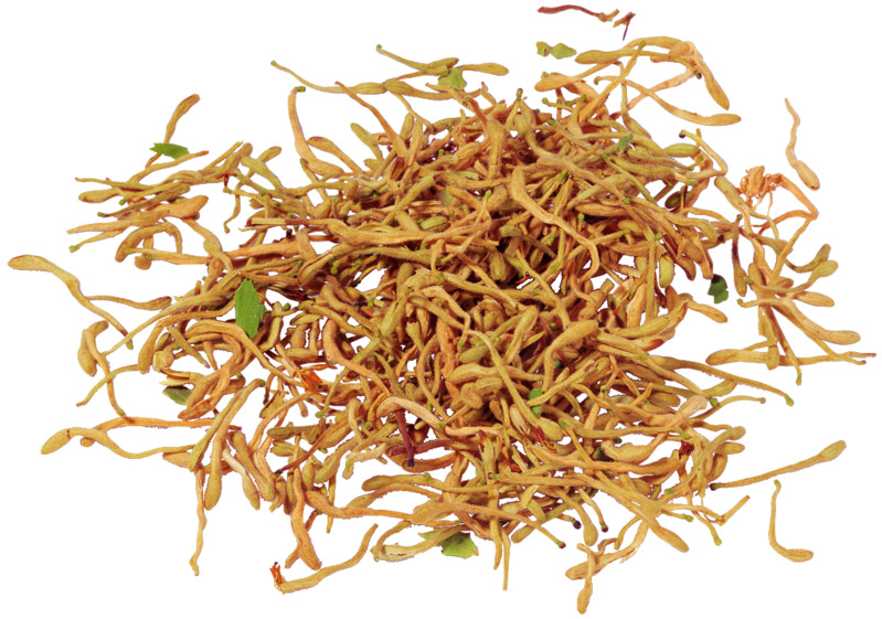 中国风金银花中药材高清透明PNG装饰图片设计素材免费下载