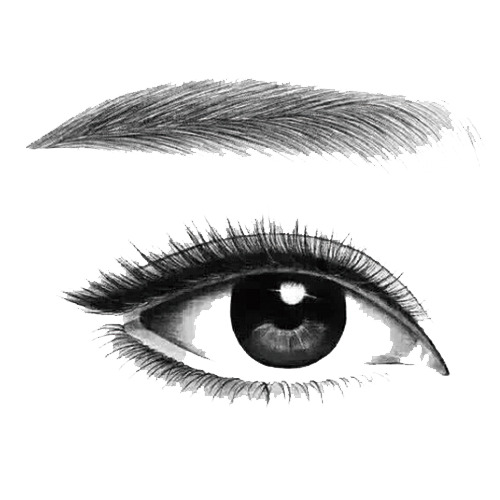 高清透明PNG纹眉纹绣手绘卡通名片设计素材下载