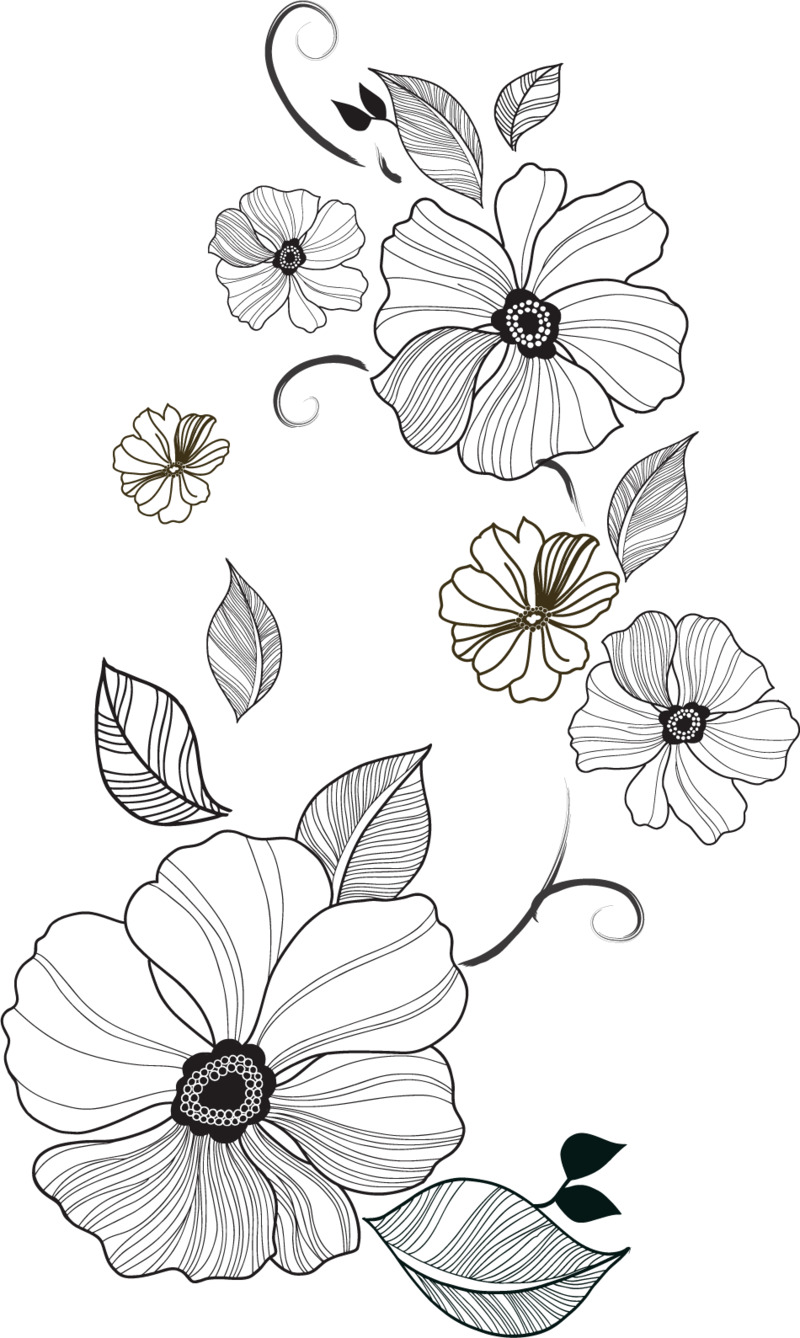 高清透明PNG手绘卡通素材，精致蔓藤花朵叶子线描设计图下载