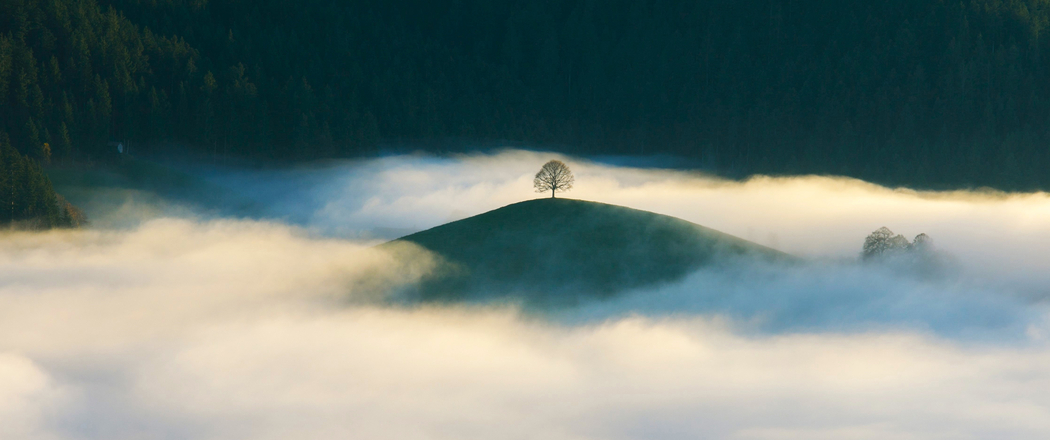 3440x1440带鱼屏高清,树木森林山丘云雾4K绝美风景壁纸下载 3440x1440带鱼屏高清,树木森林山丘云雾4K绝美风景壁纸下载