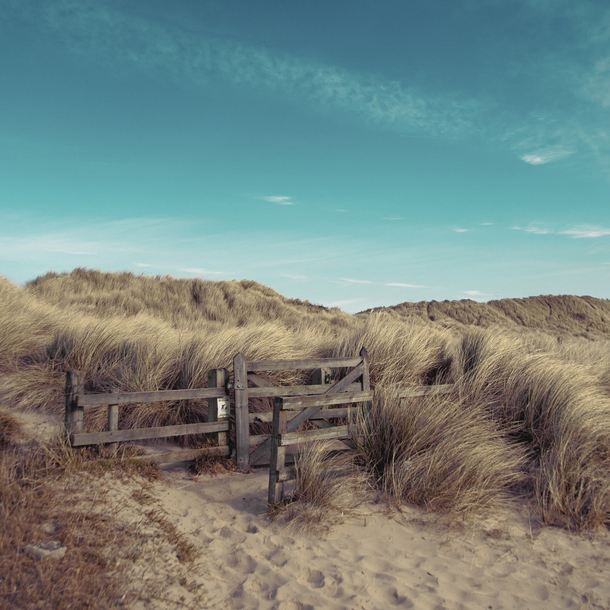 高清透明蓝天白云与枯草沙漠场景PNG背景设计素材下载