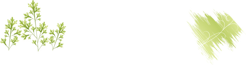 高清透明漂浮树叶PNG设计素材与叶子图片下载