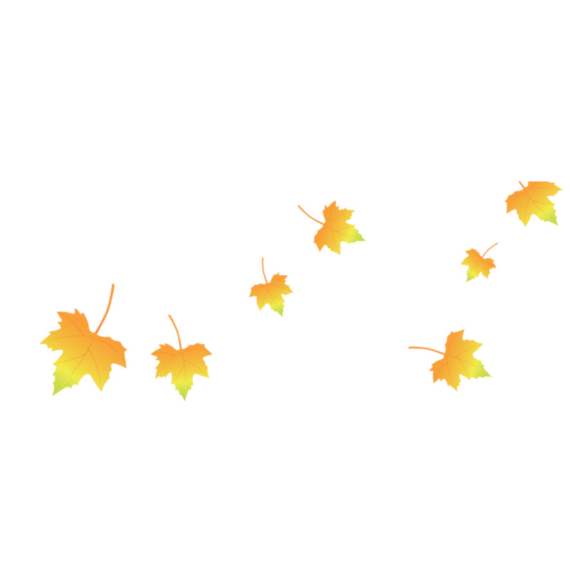 高清透明枫叶PNG漂浮元素设计素材免费下载