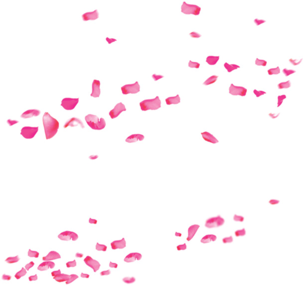 粉色婚礼喜庆高清透明PNG漂浮叶子设计素材下载