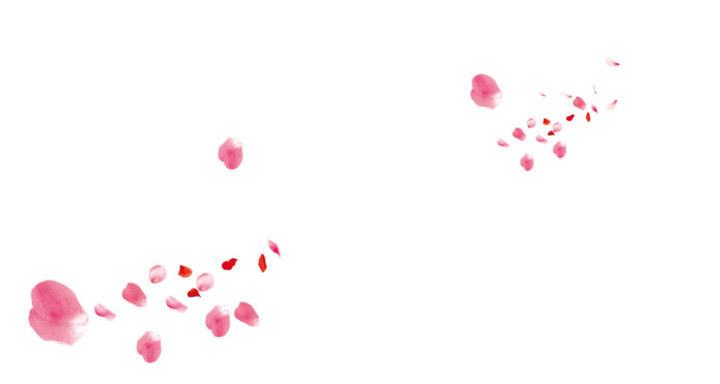 高清透明PNG花瓣漂浮元素设计素材，免费下载