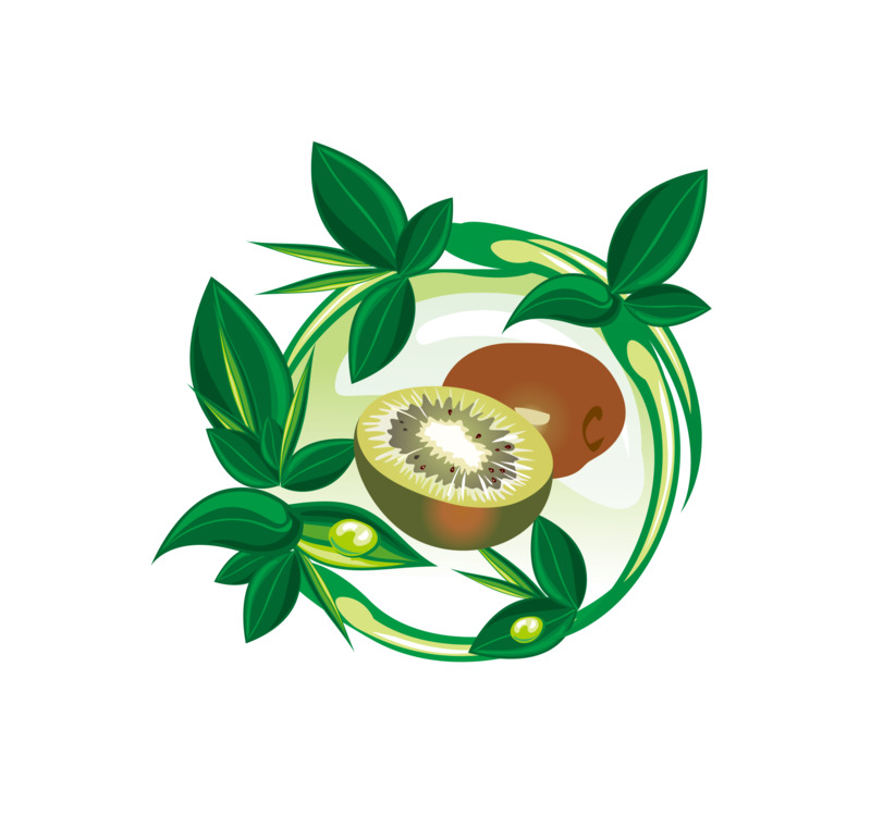 高清透明PNG猕猴桃及花瓣漂浮元素矢量设计素材下载