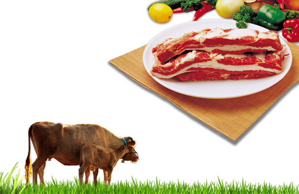 高清透明PNG食材海报装饰元素与动物设计素材下载