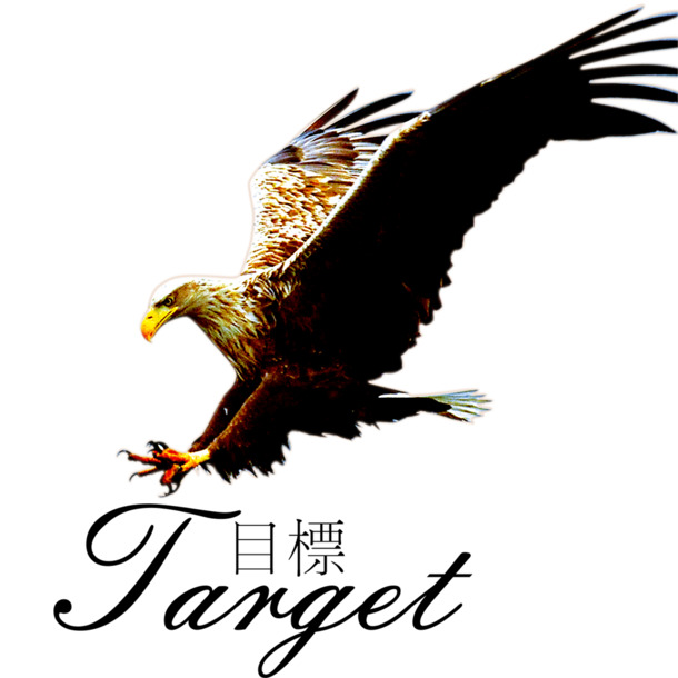 老鹰高清透明PNG与PSD格式动物装饰设计素材免费下载