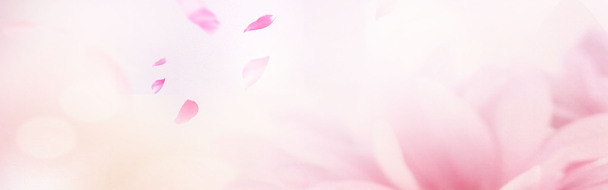 高清透明PNG女装淘宝Banner背景图及设计素材海报图片下载