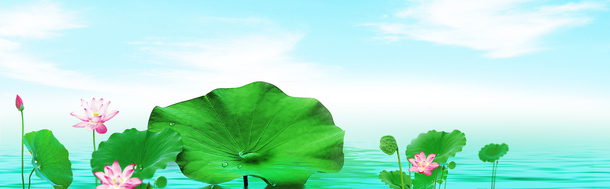 清新荷花风护肤品海报设计素材,高清透明PNG背景banner图片下载 清新荷花风护肤品海报设计素材,高清透明PNG背景banner图片下载