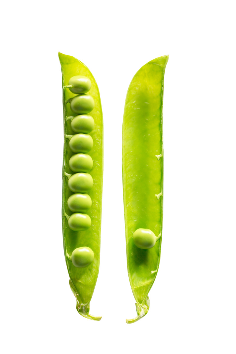 新鲜豌豆高清PNG透明图及PSD设计素材-动植物元素植物下载