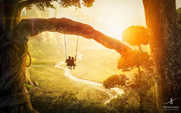 高清透明背景，阳光下大树秋千背影抽象梦幻设计素材PNG图片下载